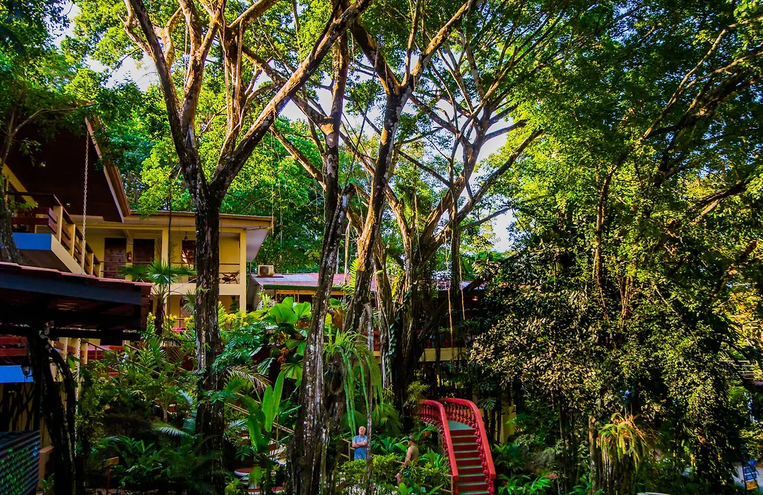 Jungle Beach Hotel Manuel Antonio-1