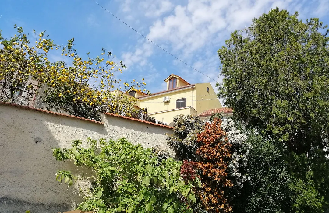 B&B Moscani-1