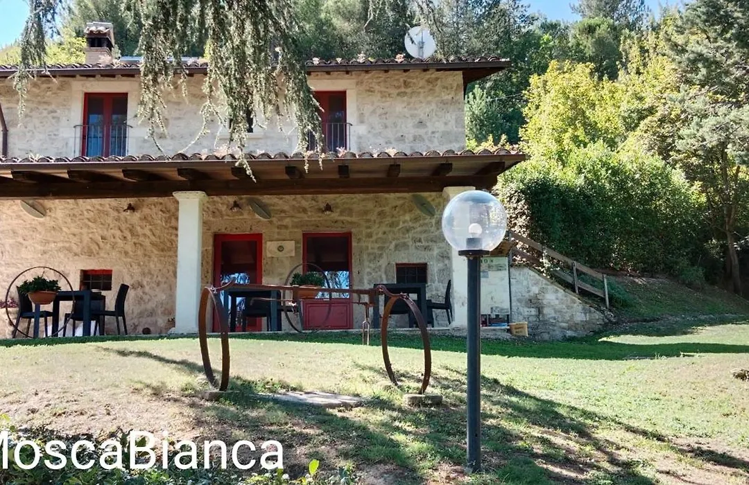 B&B Mosca Bianca-1