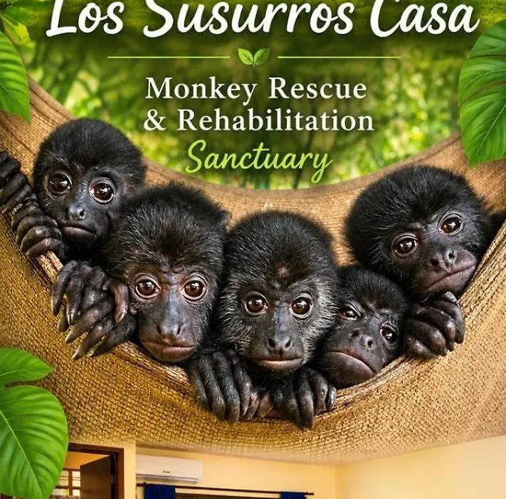 Los Susurros. Casa-1