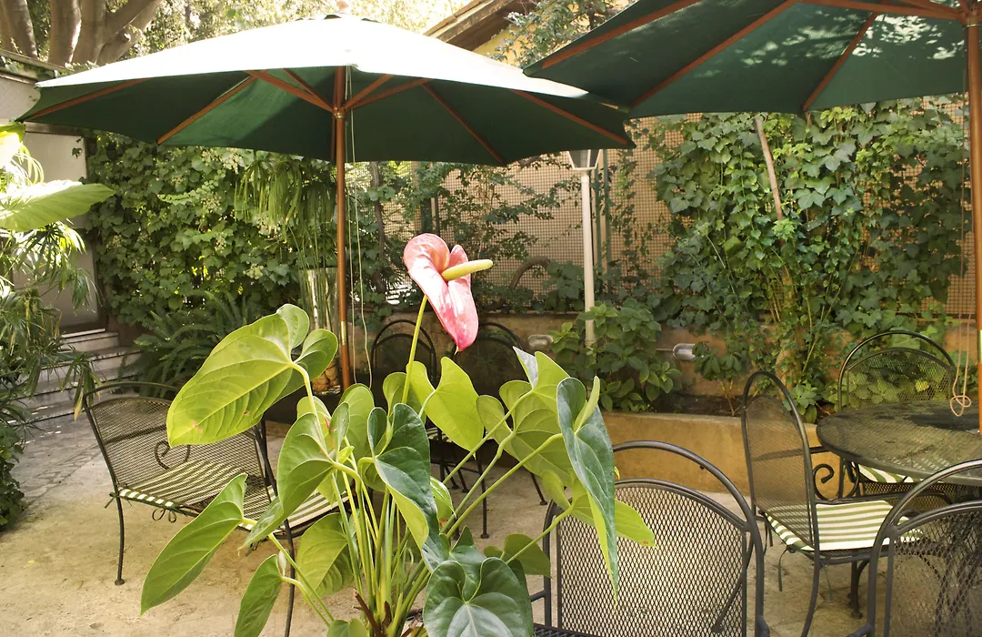 Hotel Villa Delle Rose-1
