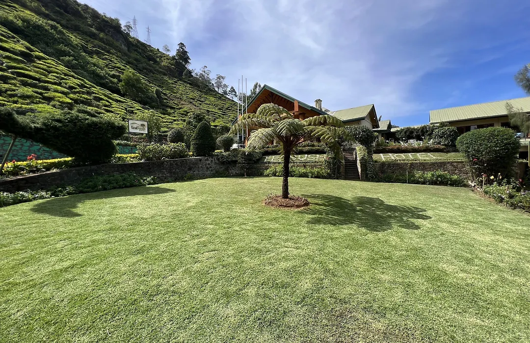 Tea Bush Hotel-1