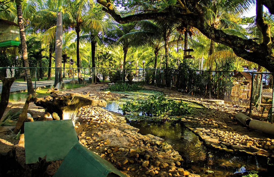 Catussaba Resort Hotel-1