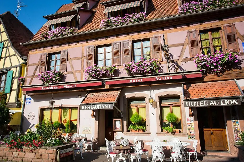 Hôtel Au Lion-1