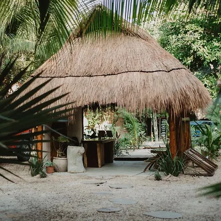 Akkuun Tulum - Adults Only-2