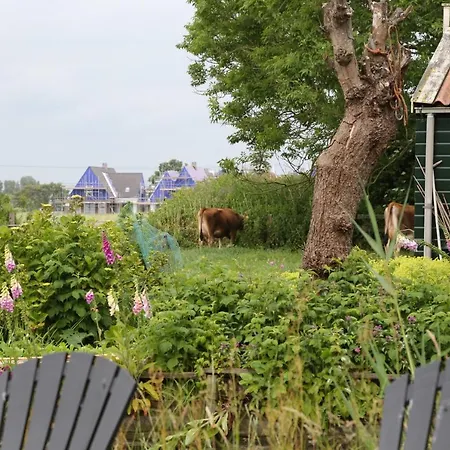 Bed&Stay Amsterdam-3