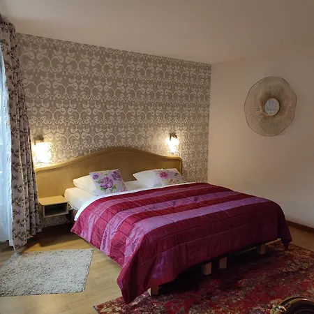 Hôtel Au Lion-2