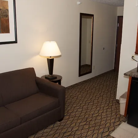 Holiday Inn Express Hotel & Suites Cadillac By Ihg-2
