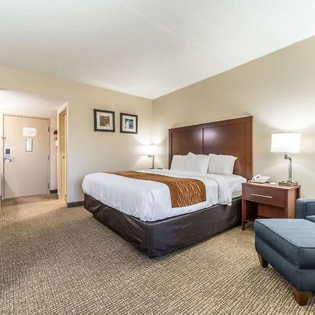Comfort Inn Festus-St Louis South-2