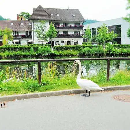 Hotel Schiff Nagold-3