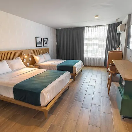 Oliva Plaza Hotel-3