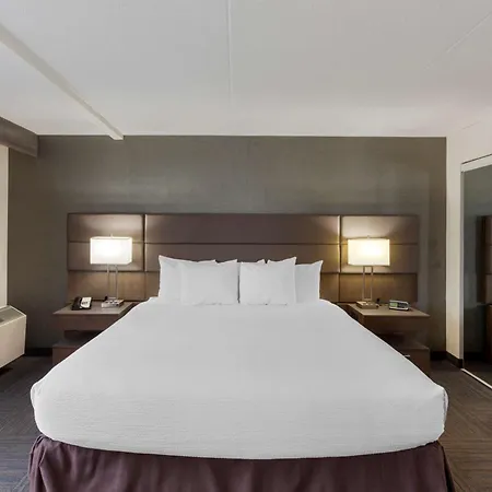 Best Western Plus Toronto Airport Hotel-3