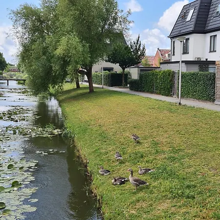 Landlust Guesthouse And B&B Amsterdam Area-3