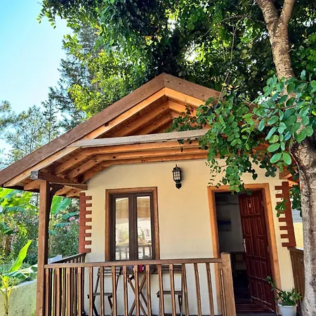 Kidrak Otel Montenegro-1-2