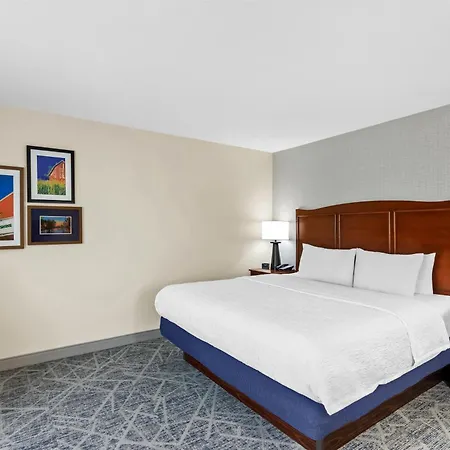 Hampton Inn Dekalb - Near The University-2