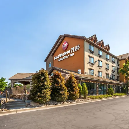 Best Western Plus Cotton Tree Inn-3