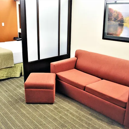 Microtel Inn And Suites By Wyndham Toluca-3