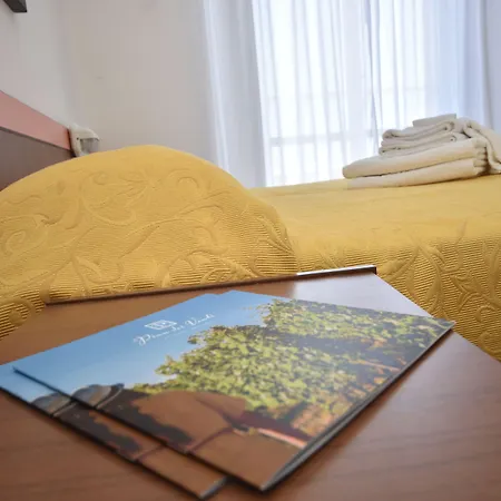 Hotel Suprem sul Mare-3