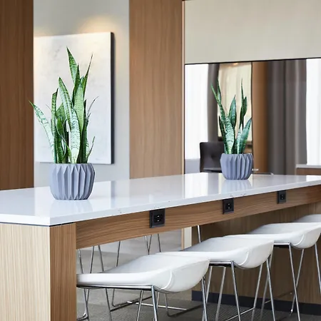 Ac Hotel By Marriott Bloomington Mall Of America-3