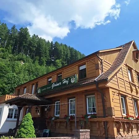 Gruener Hof-2