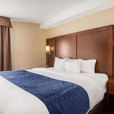 Comfort Inn & Suites Medicine Hat Shopping Centre-3