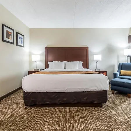Comfort Inn Festus-St Louis South-3