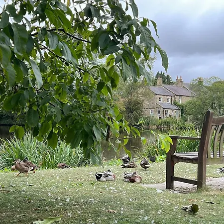 Orchard Cottage-2