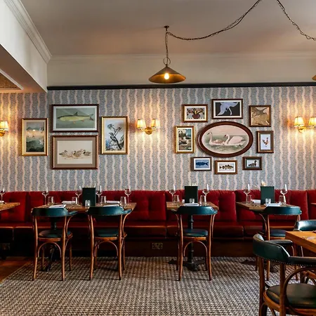 The Swan-3