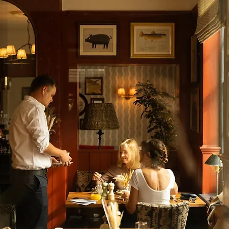 The Swan-2