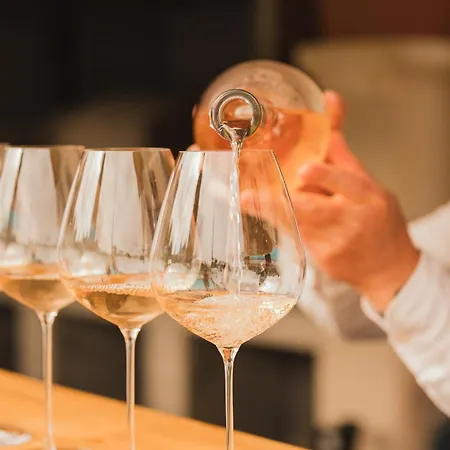 Domaine Rabiega - Vineyard&Boutique hotel-2