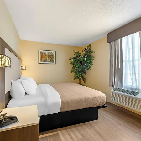 Quality Inn & Suites Bellville - Mansfield-3