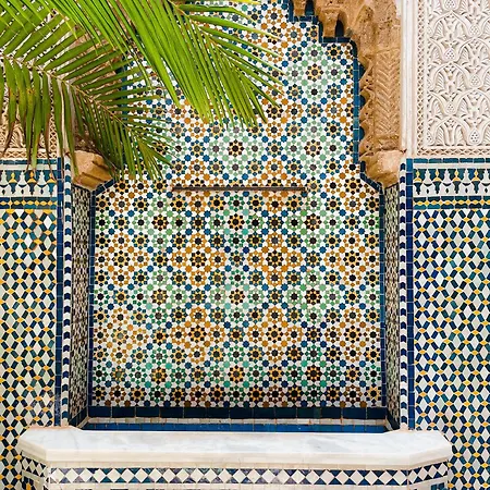 Riad Zyo-2