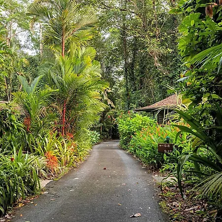 Heritage Lodge - In The Daintree-2