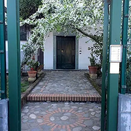 B&B Camelie-3