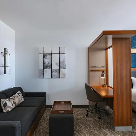 Springhill Suites By Marriott Dallas Richardson/Plano-3