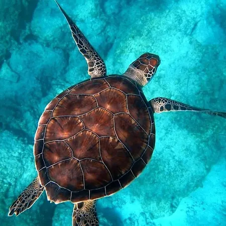 Ningaloo Lodge Exmouth-3