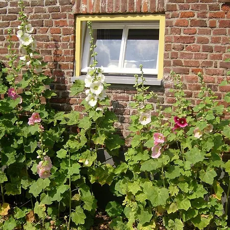 Bed&Breakfast Appeltern-2