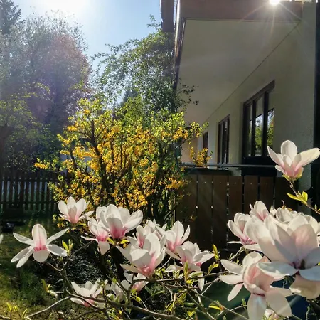Hotel am Wald-2