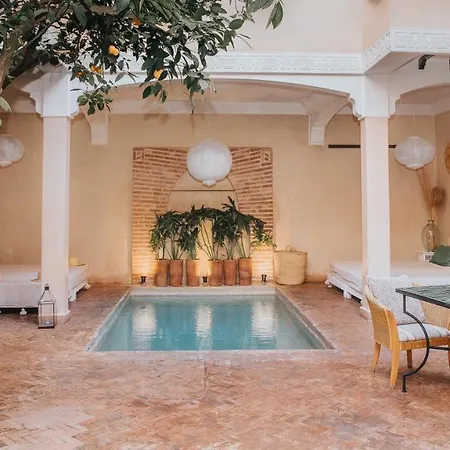 Riad L'Oiseau Du Paradis-2