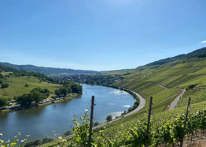 Hotel Springiersbacher-Hof