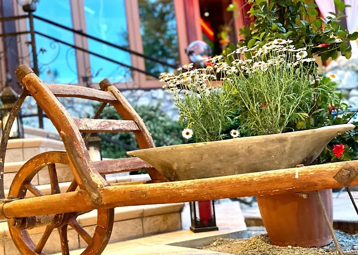 István Parkhotel és Gasztrofarm