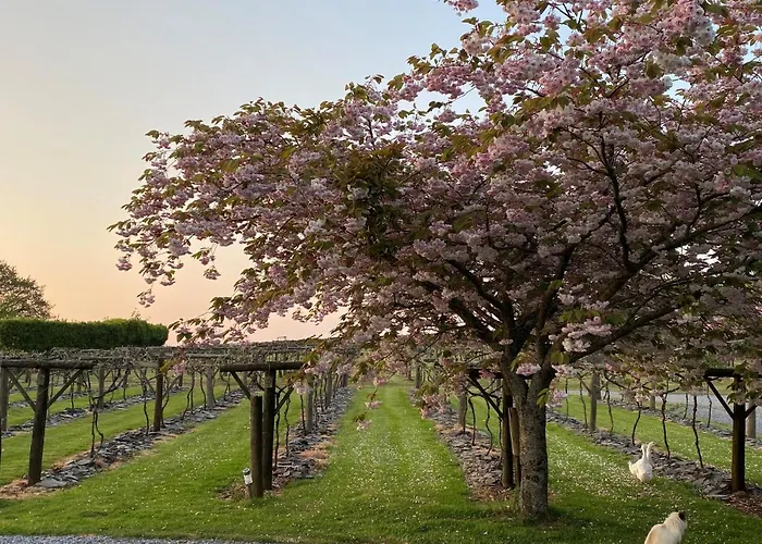Jabajak Vineyard Restaurant&Rooms