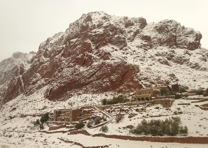 Auberge Le Festival Todra Gorge