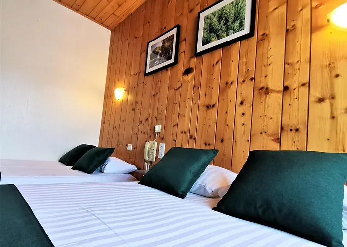 Hotel Les Montagnards