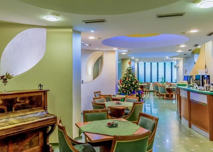 Hotel Cingo