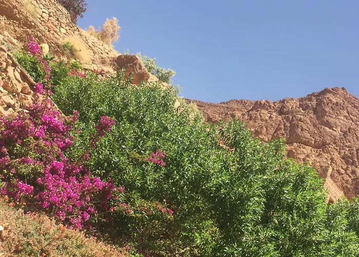 Auberge Le Festival Todra Gorge