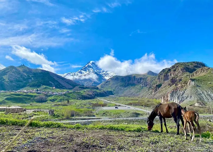 Kazbegi Inn