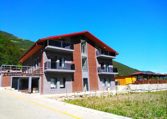 Anemo Suite