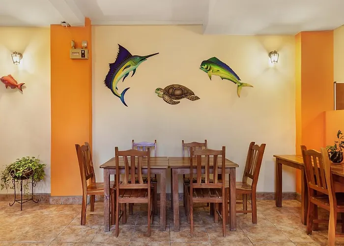 Hostel Tropical And Coworking