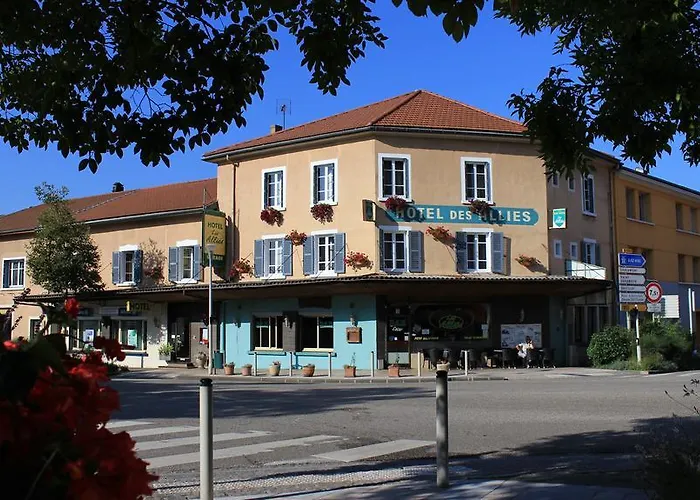 Hôtel Des Alliés